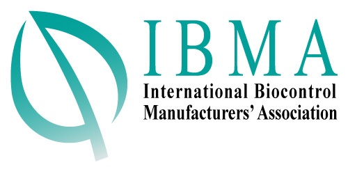 logo ibma-global web