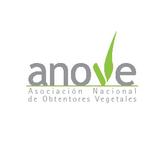 ANOVE logo