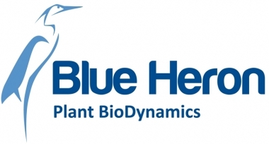 Blue heron logo