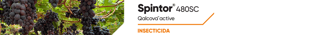 CORTEVA SPINTOR
