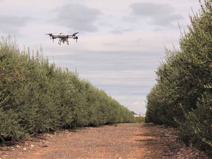 Drones para el control de plagas, el drástico plan para sitios