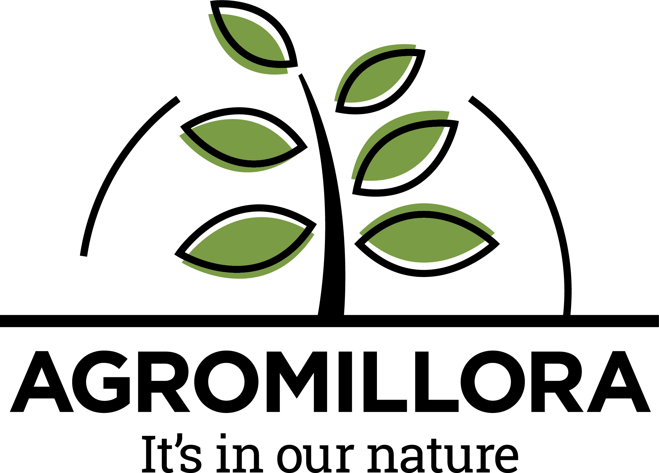 Agromillora logo png 130623