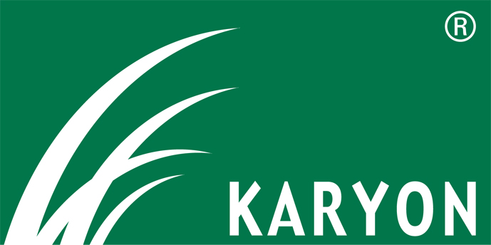KARYON logo 060722