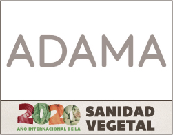 ADAMA FALDON