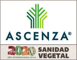 ASCENZA FALDON