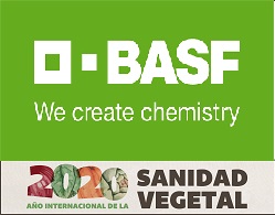 BASF FALDON 040320