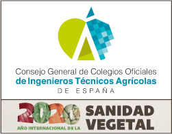 CONSEJO COITA FALDON