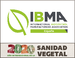 IBMA FALDON