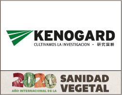 KENOGARD FALDON