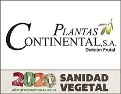 PLANTAS CONTINENTAL FALFON