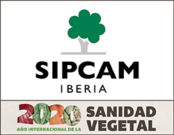 SIPCAM FALDON 060320