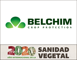 belchim faldon