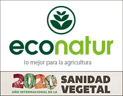 econatur faldon OK