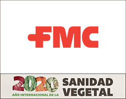 fmc faldon