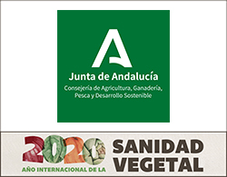 junta andalucia faldon