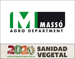masso faldon
