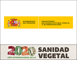 ministerio agricultura faldon