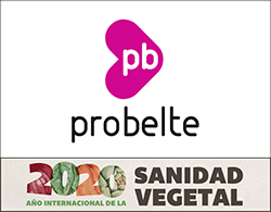 probelte faldon