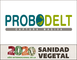 probodelt faldon