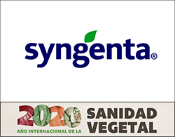 syngenta faldon