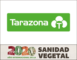 tarazona faldon