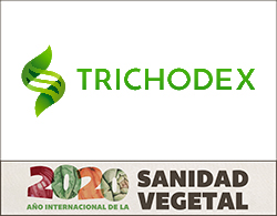 trichodex faldon