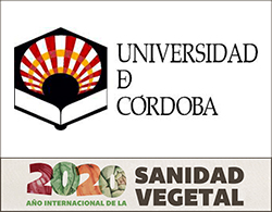 universidad cordoba faldon