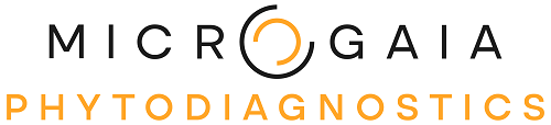 Microgaia Phytodiagnostic LOGO PAT ORO VIDIII WEB
