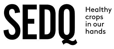 SEDQ logo sedq horitzontal PAT PLATA ASESORES web