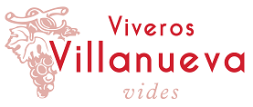 VIVEROS VILLANUEVA LOGO PAT ORO 020724 web